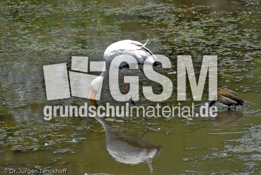 Nimmersatt (8 von 22).jpg